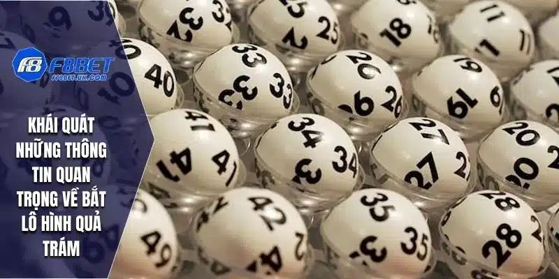 Khái quát những thông tin quan trọng về bắt lô hình quả trám