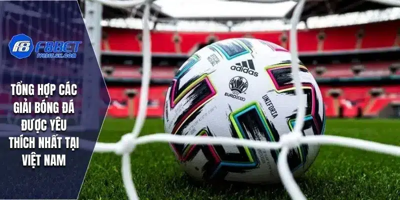 Tổng hợp các giải bóng đá được yêu thích nhất tại Việt Nam