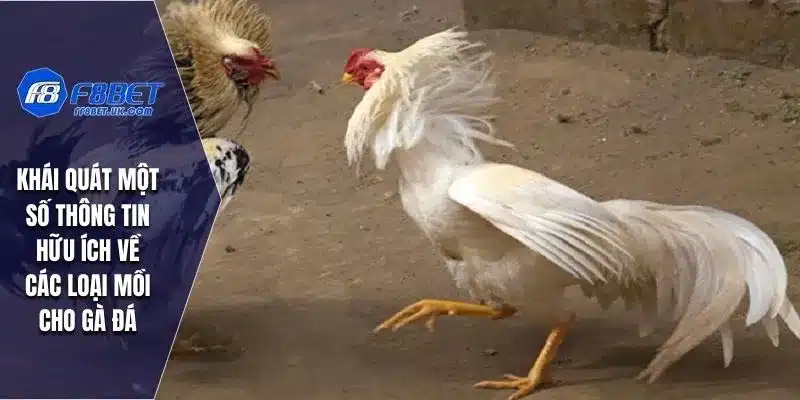 Khái quát một số thông tin hữu ích về các loại mồi cho gà đá