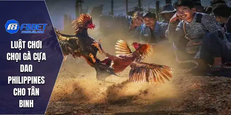 Luật chơi chọi gà cựa dao Philippines cho tân binh