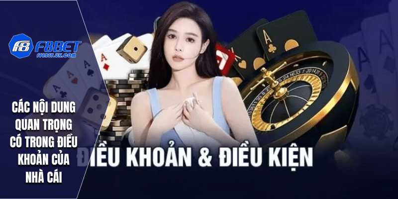 Các nội dung quan trọng có trong điều khoản của nhà cái