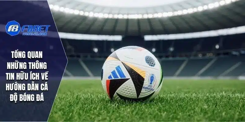 Tổng quan những thông tin hữu ích về hướng dẫn cá độ bóng đá
