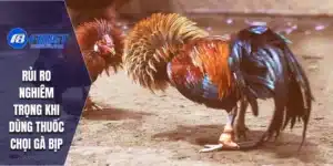 Thuốc Đá Gà Bịp