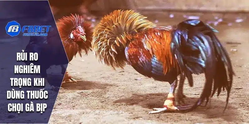 Thuốc Đá Gà Bịp